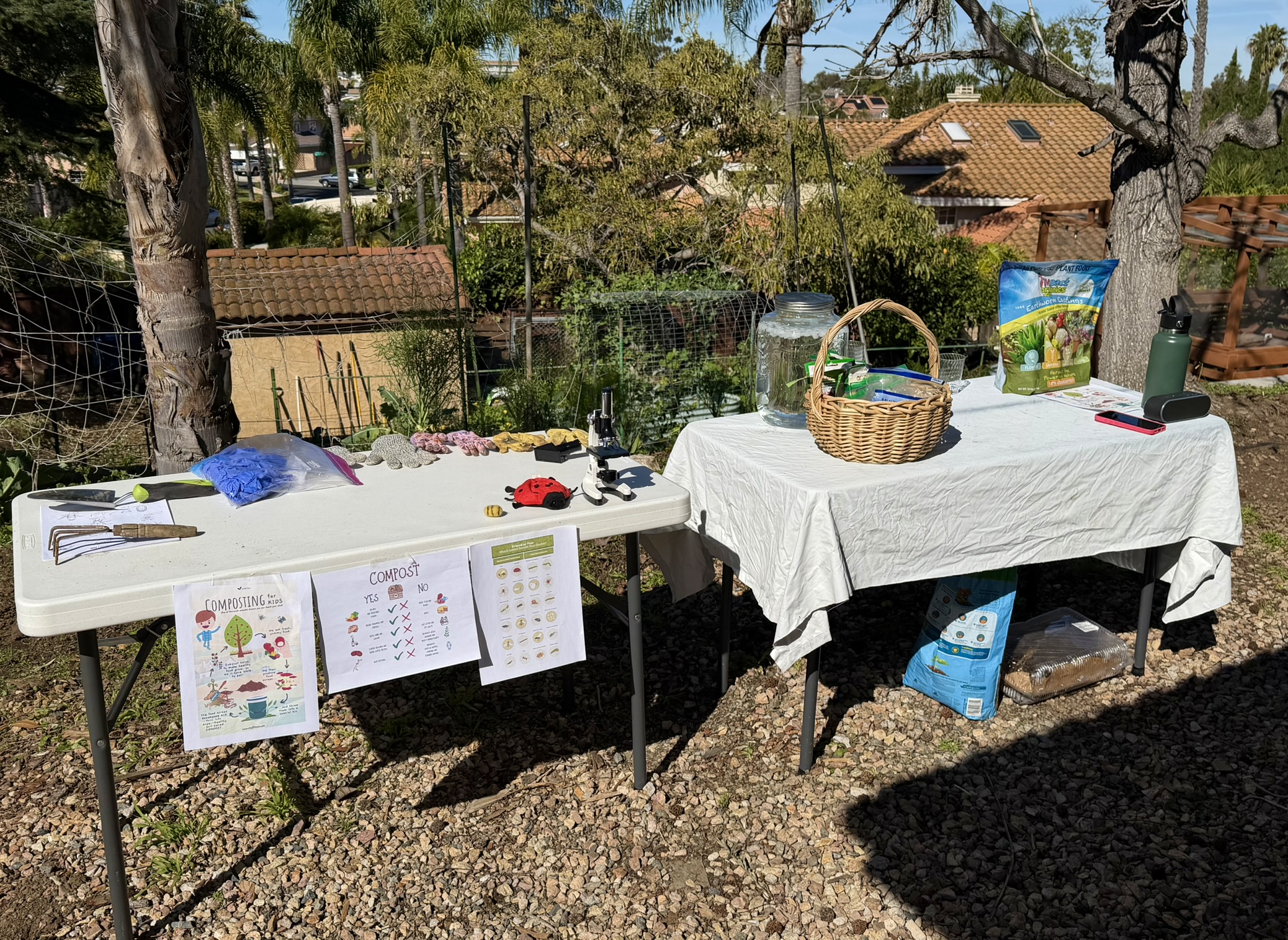 February 2026 Signal Families