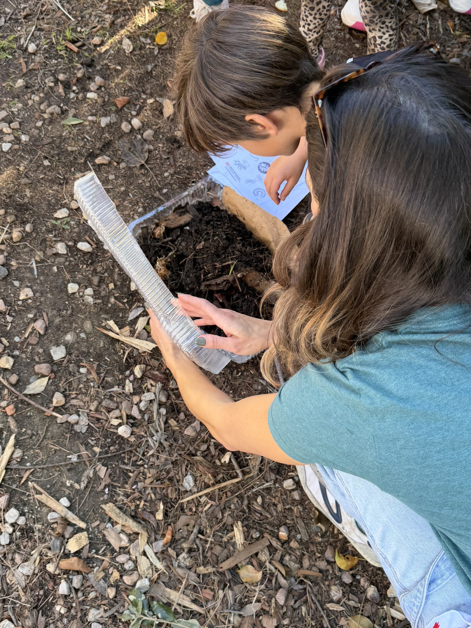 February 2026 Signal Families