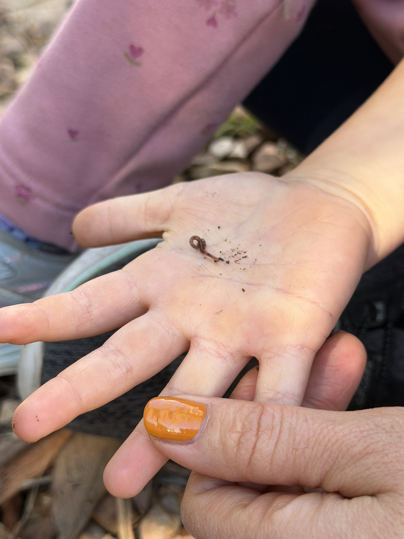 February 2026 Signal Families